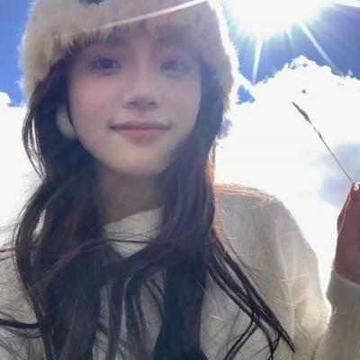 大清后宫